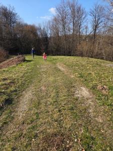Haus im Wald
