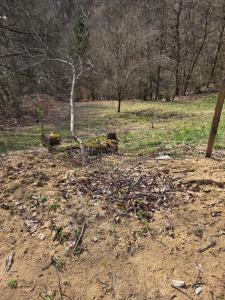 Haus im Wald