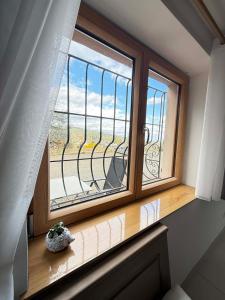 "Vignoble & jardin - Parking privé" à Riquewihr