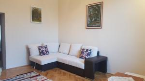 Satu Mare Apartments