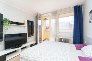 Nice rooms in flatshare