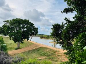 Animal View Point Yala