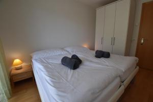 Appartement ensoleillé 4 personnes à Saillon à 100 mètres des bains
