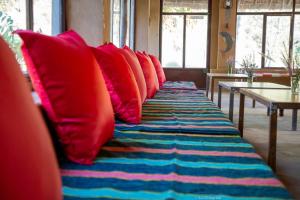 Dudhraaj Camping Huts and Cabins, Uttrakhand