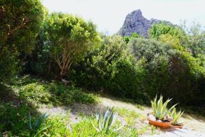 Roccette MareBLU villa con jacuzzi img14