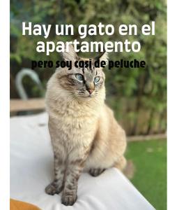 Casa Micho