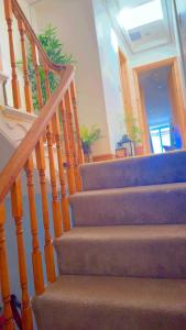 Stylish En-suite room in central location