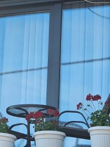 Apartmani Rekovic
