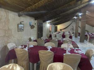 Campement Sahara Oasis Douz