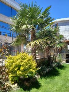 Zenith Guest House