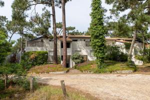 Les Lauriers centre du cap ferret