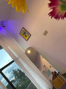 One bedroom apartments Dar