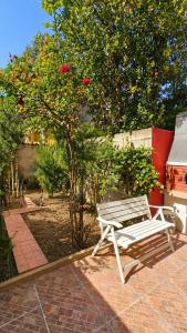 Casa Are img50