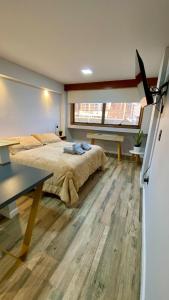 Estudio Canvas