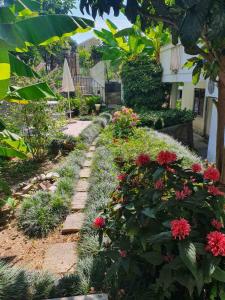 Apartmani Matijasevic Igalo