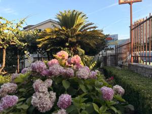 Apartmani Matijasevic Igalo