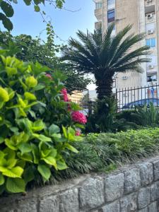 Apartmani Matijasevic Igalo