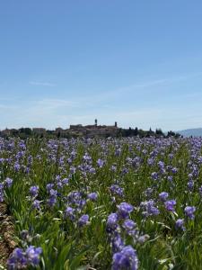 BORGO COMPAGNIA Porta Fredda