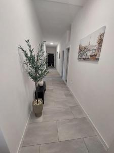 Vošta