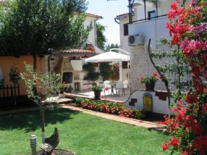 Apartment Dady with a large covered terrace 