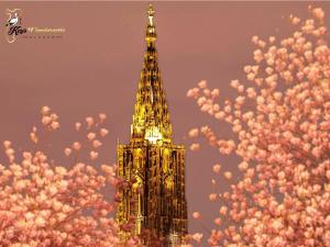 Cocon de Charme au pied de la Cathédrale de Strasbourg