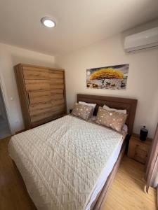 Blaze Apartment Budva