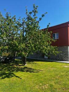 Stone House in Dikella