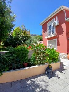 Campo de Oleandros