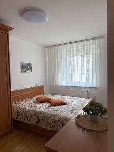 Pine Apartment