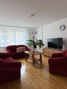Pine Apartment
