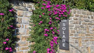 Studio Solare