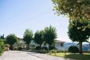 Alba - Villa Cenami - big POOL with view