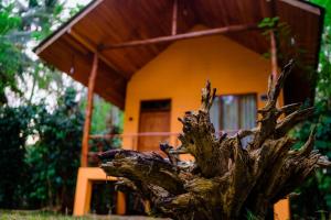 Walawa Wild Place