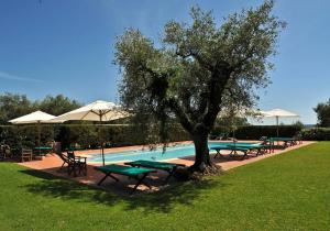 Luna - Villa Cenami - big POOL with view