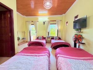 HeniSi Homestay Măng Đen Villa