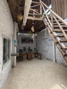 Beach House
