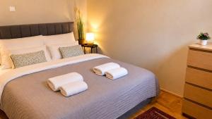 City Comfort Apartment