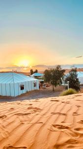 moroccan izem camp