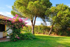 Villa Gerbera vicino alla spiaggia img4