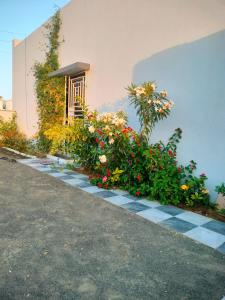 Om Villa - Entire Home Stay