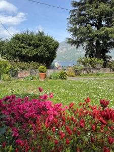 Limonta, Fiori e Lago Private Apartment