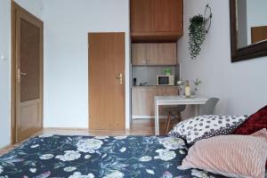 Rzeszowska Apartment