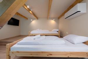 Modern Mountain Apartment