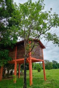 Tree House Cabana Sigiriya
