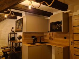 Heritage Beam Loft Brno