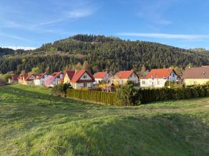 Villy Vlašky