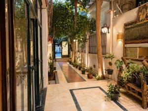 The Greenhouse Zamalek