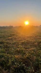 Apna farm Homestay