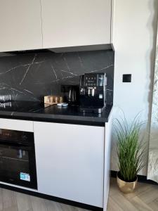 SILESIA PRIME Apartament Symfonia 24 Piętro Global Katowice Centrum