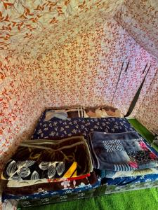 Kailash darshan view camp chopta